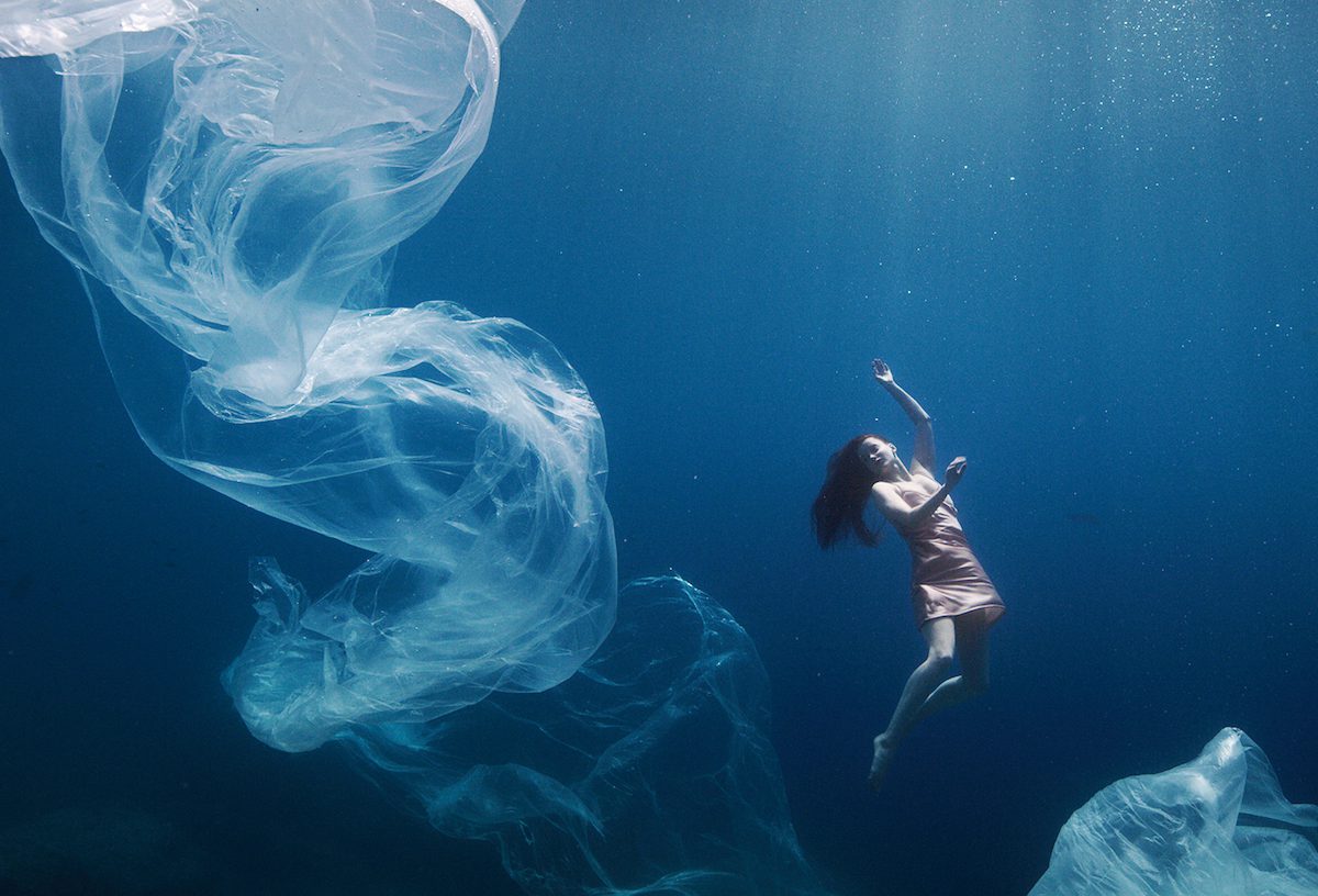 Proceso de elaboración