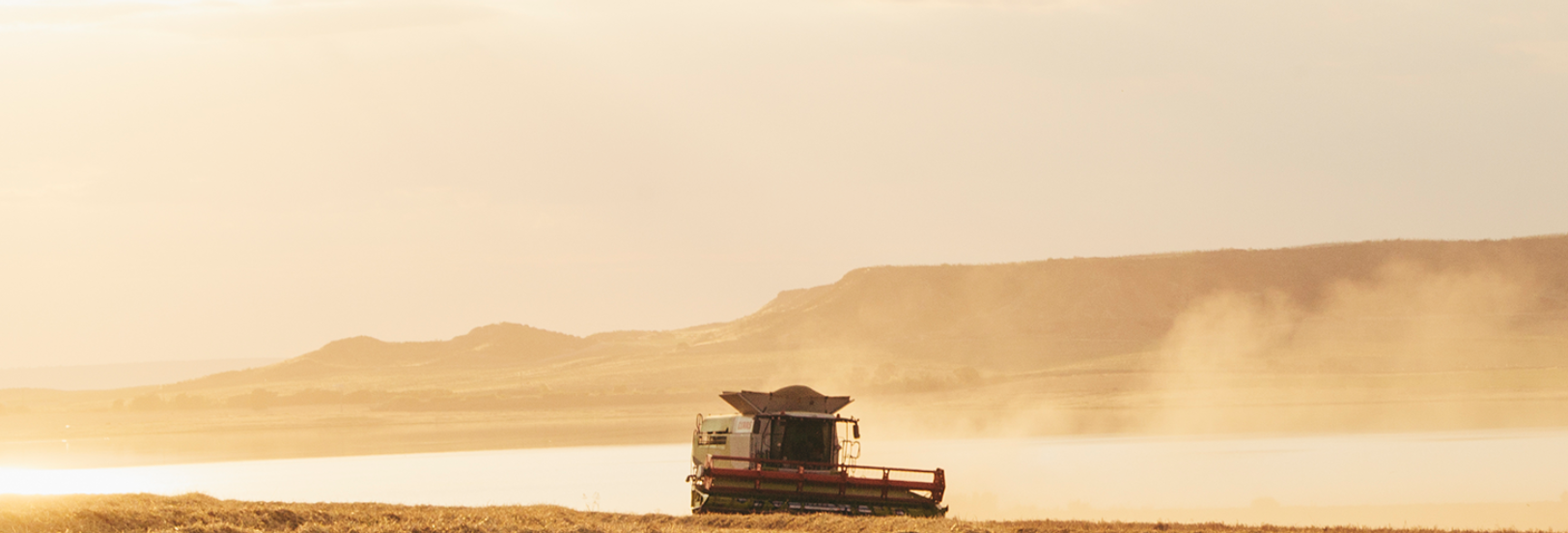 Objetivos del proyecto